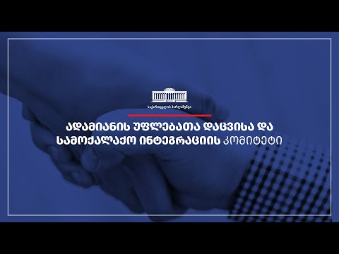 ადამიანის უფლებათა დაცვისა და სამოქალაქო ინტეგრაციის კომიტეტის სხდომა - 06.09.2022