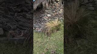 Asi eran las CASAS AUTÉNTICAS más antiguos de Perú