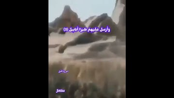 سورة الفيل.... تلاوة الشيخ القارىء: أحمد العجمي.. حفظه الله..