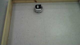 Khepera III robot successfully following wall after running 3 hours of Q Learning in Webots