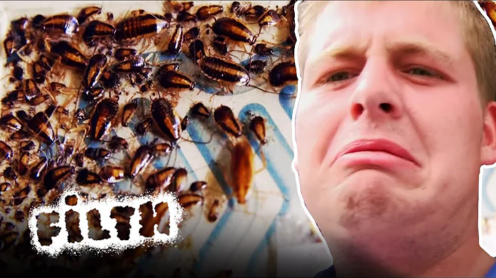 The Worst Cockroach Infestation In England | Pest Detectives | Episode 2 | Filth