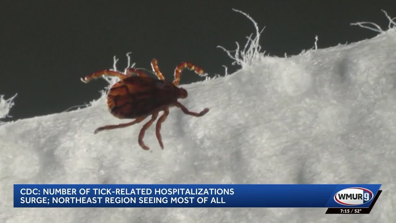 CDC: Tick-related hospital visits surge in Northeast - YouTube