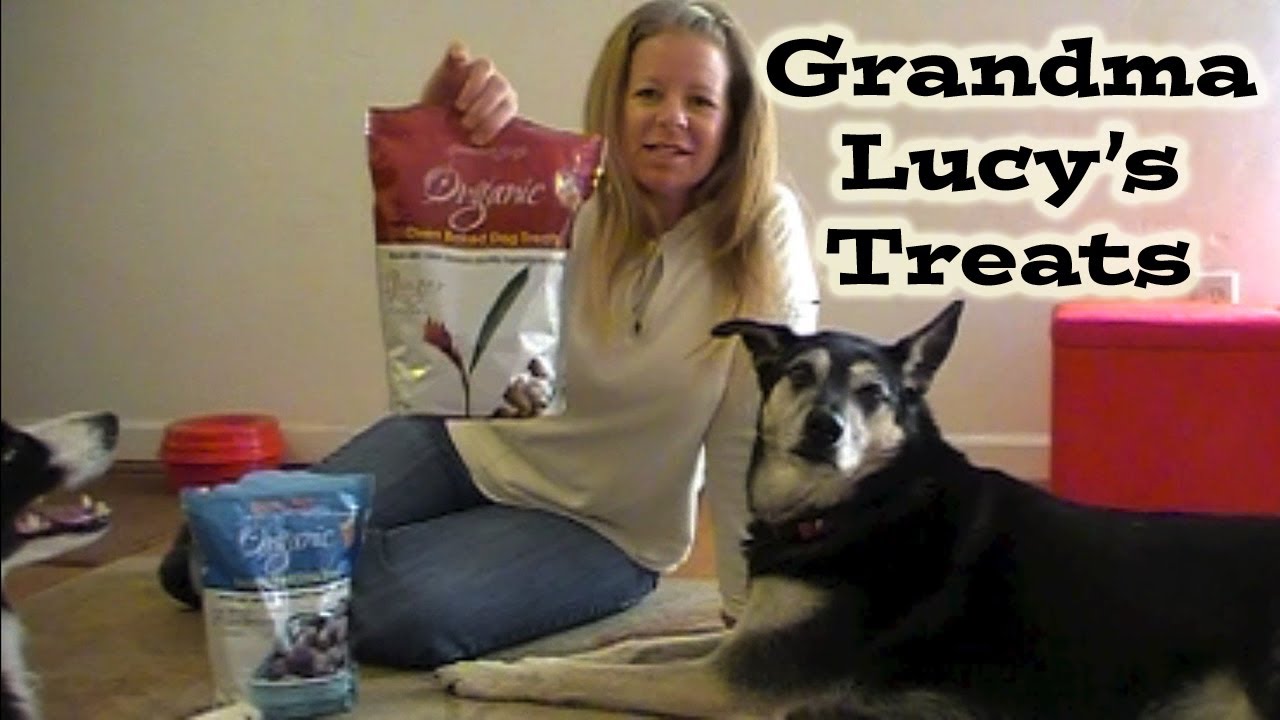 Grandma Lucys Dog Treats Product Review YouTube