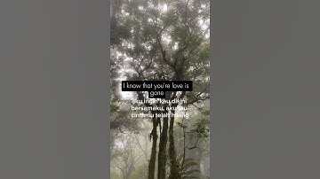 Thumbnail of Where is the sound come from #lyrics #coversong #music #terjemahan_indonesia