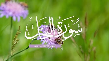 سورة النحل بصوت القارئ علي جابر | تلاوة تريح قلبك من الأعماق 💜🌱