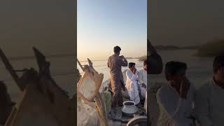 Sindho darya #history #flood #duet #river #ganga #indusriver #sindudarya #sindh #sindhinews