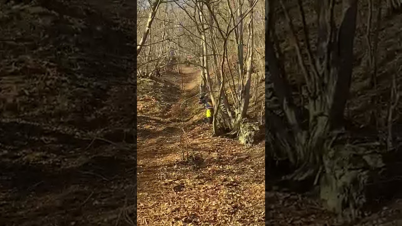 Și a reușit. Lucian Toader