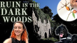 RUIN IN THE DARK WOODS | Fife, Scotland | Painting Wild Rosehips in Watercolour | Ep34