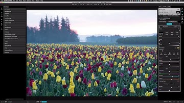 Using Lens Blur To Simulate Shallow Depth of Field – ON1 Photo RAW