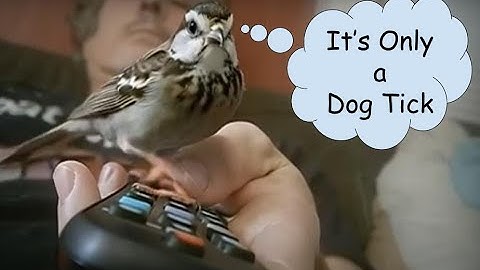 "AI-Generated Music Video (Using FREE AI Tools): It