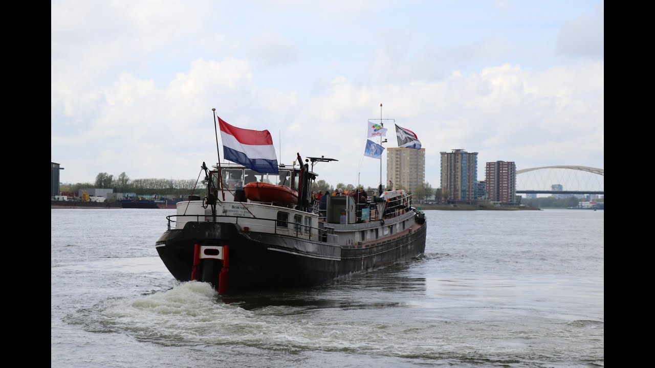 #Bornrif #Scouting Jan Willem Friso #Koningsdag 2024 #Krimpen aan den