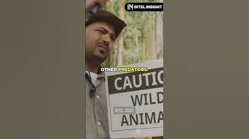 Why Animals Don