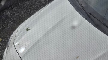 LTT Room - Audiosurf 2