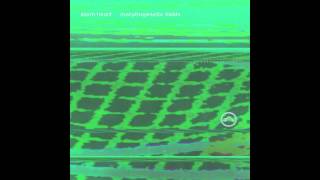 Atom Heart - Milagro (Morphogenetic Fields)