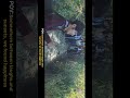 Dima Hasao||Tumjang Peak #travel #travelvlog #travelvideo #wanderlust #explore
