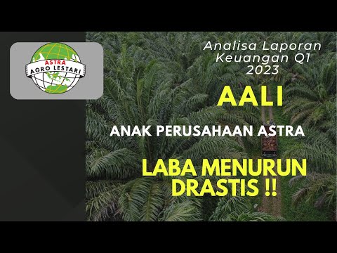 Laba Menurun Drastis!!! PBV dibawah 1, Layak Koleksi??? Analisa Laporan Keuangan AALI Q1 2023