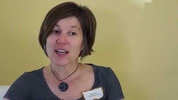 What is the Certified Professional Innovator Program?