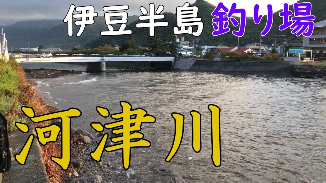 伊豆半島海釣り場 河津川河口 シーバス Mancing Mania Japan Youtube