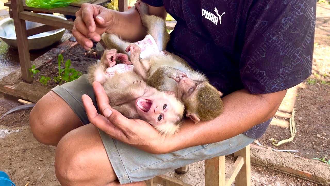 After the failures - Sơn and BiBi tried together to overcome the difficulties