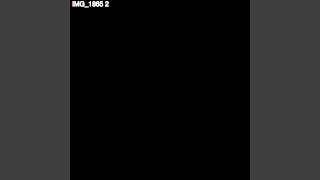 IMG_1865 IMG_1865