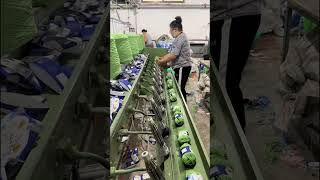 You See It While It Happens | Color Changing Yarn #colorchangingyarn