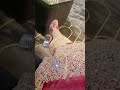 jutti # new # viral # trending # reels