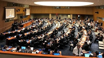World Geospatial Industry Council launched at UN-GGIM