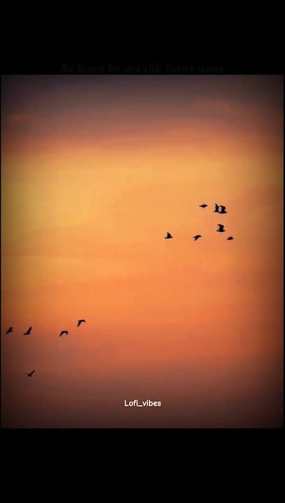 Khidki, muskurahat, aur Kishore da ka jaadu… 🎙️ #lyrics #hindisong #shorts #shortsfeed