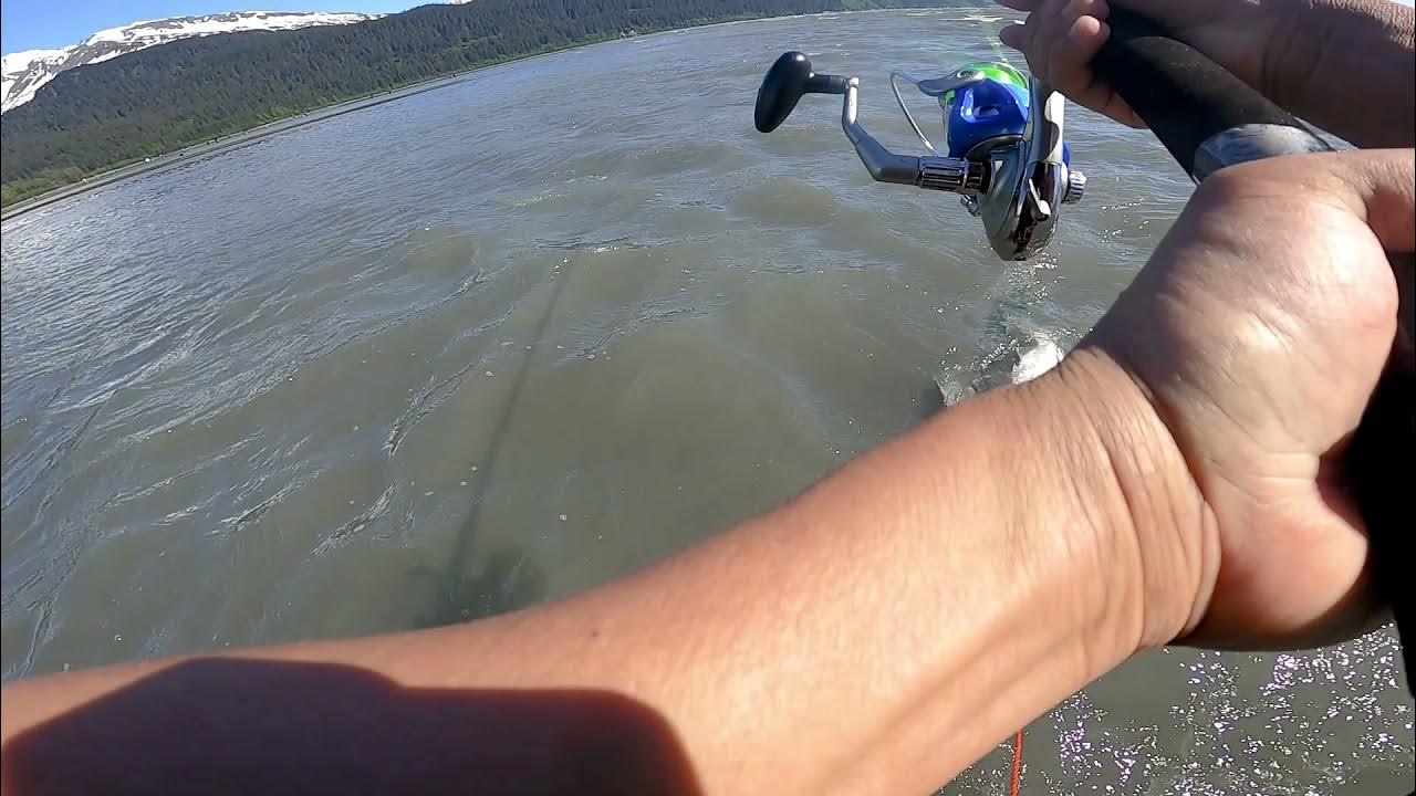 2021Seward, Alaska Red Salmon snagging. YouTube