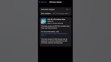 iOS 16.5 Developer Beta Update