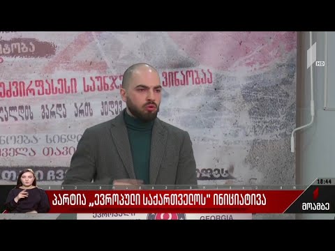 პარტია „ევროპული საქართველოს“ ინიციატივა