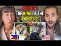 ROUND 2: PHILIPPINE EAGLE vs HARPY EAGLE - Who is the KING of the EAGLES?
