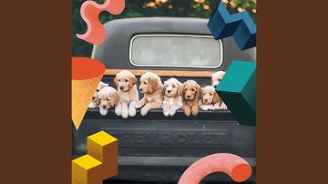 Pulsating Backdrops for Behaving Puppies