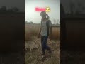 kisan life please bhiya hamko bhi saport kijiyega bahut mehanat karte hai #trending #viralvideo🌿🌾🌴🌴🌿