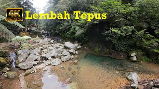 Mahakarya Alam di Lembah Tepus Taman Nasional Gunung Halimun Salak