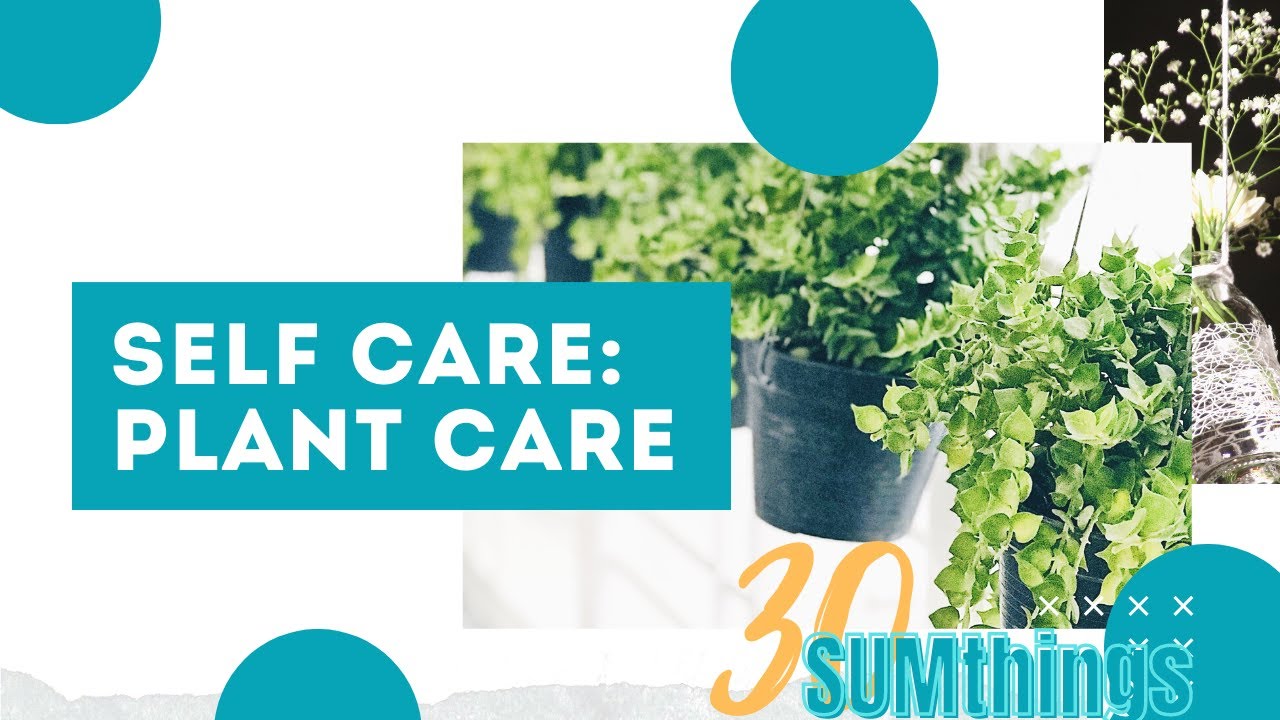 Plant Care Final YouTube