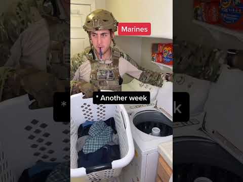 Doing Laundry With The Branches..