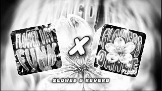 FLOWER DAY FUNK × FLOWER DANCE FUNK | 𝙎𝙡𝙤𝙬𝙚𝙙 & 𝙍𝙚𝙫𝙚𝙧𝙗
