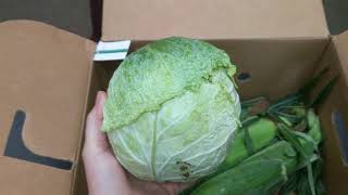 Pahl's Market CSA - Week 7 unboxing