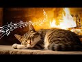 20 hours cat purring  piano  relax with fireplace  asmr relaxing