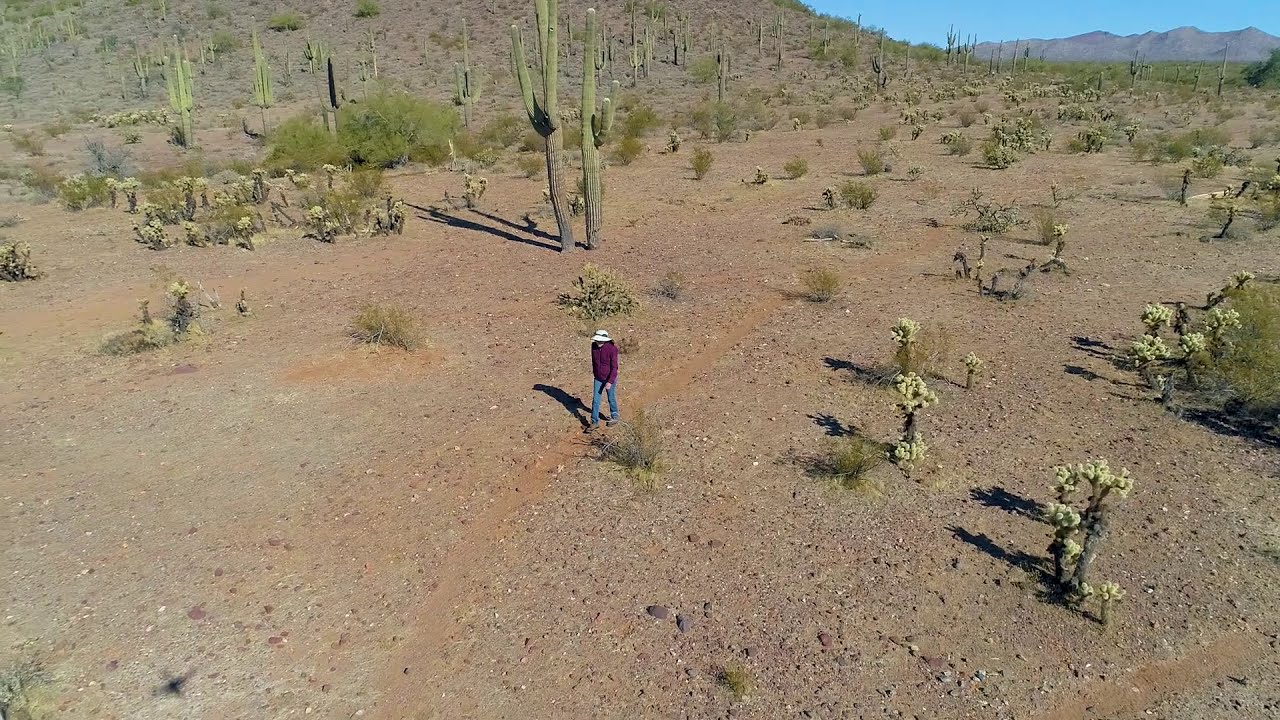 Why We Love Arizona Winters | A Quiet Escape into Nature