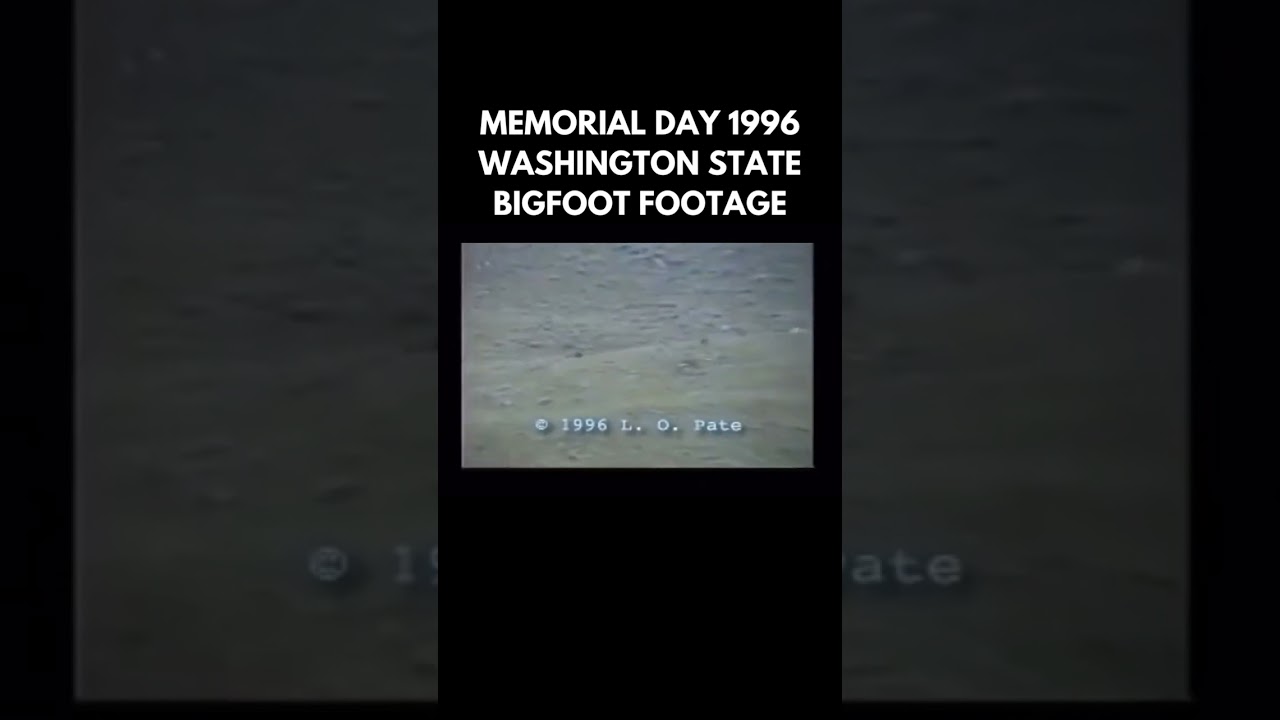 Rare footage of a Bigfoot in Washington state filmed on Memorial Day in 1996 #bigfoot #sasquatch Rare footage of a Bigfoot in Washington state filmed on Memorial Day in 1996 #bigfoot #sasquatch