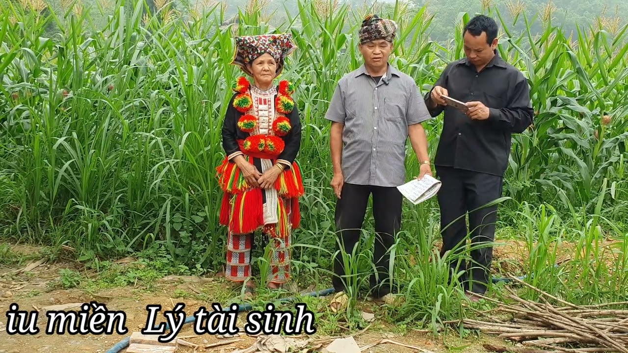 Iu miền Ly Tai Sinh Ly Dao pú poo Tieu big hi nzung structure