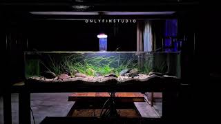Pflanzenwachstumskombination – TINI LED + Phat Fertz