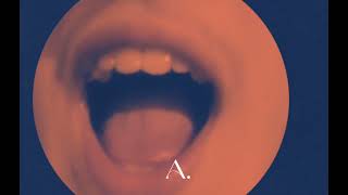 A Diyen Burunbalığı.