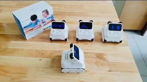 CODEY ROCKY - Robot cũng rất sợ té nha các bạn