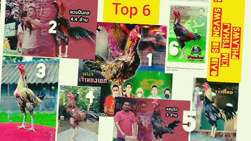 6 tu Lau Qaib Sib Ncaw Kim Tshaj Phlaws nyob Qab Ntuj no