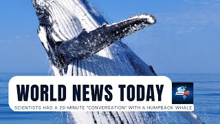Scientists had a 20-minute "conversation" with a humpback whale