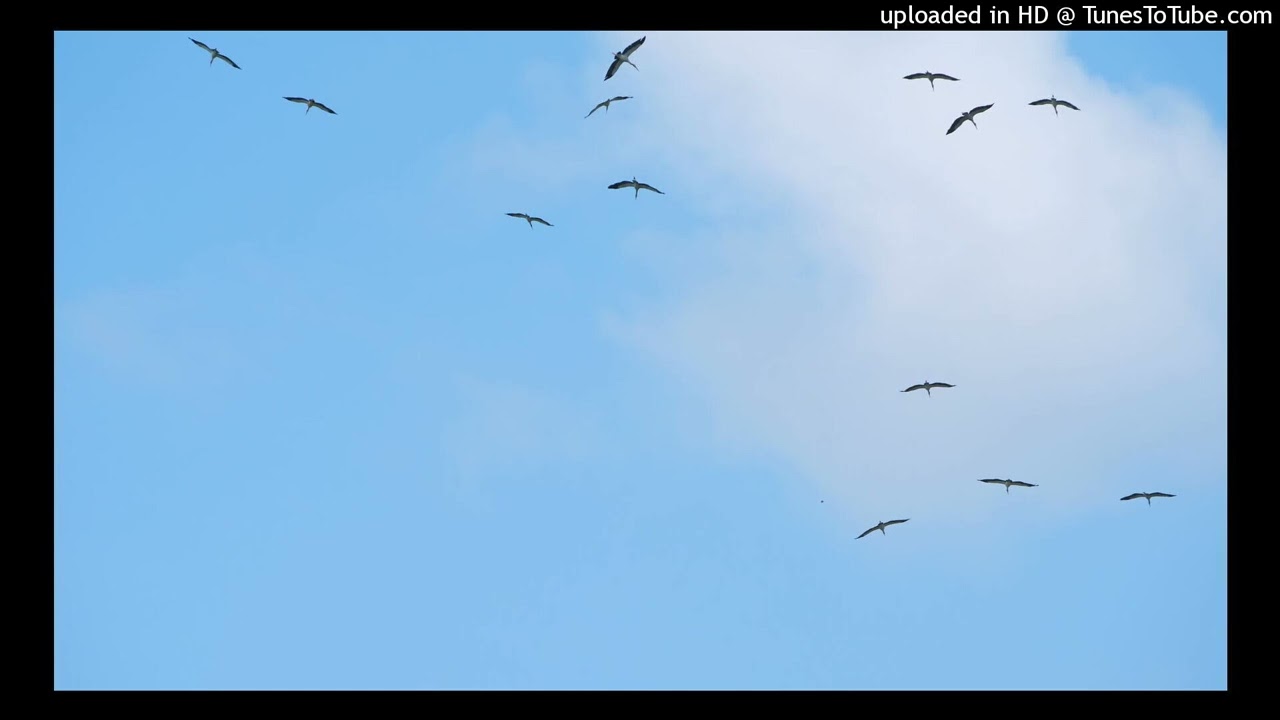 free juice wrld type beat - before i die