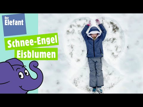 Im Winter draußen - Wie schlittert man auf Eis & wie gefriert eine Seifenblase? | Der Elefant | WDR